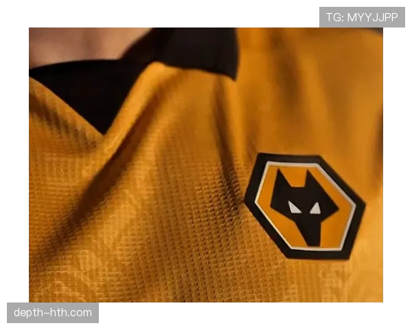 狼队防守稳固表现助力球队持续提升，重返英超竞争行列